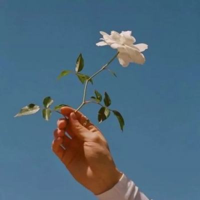 亲朋打僵尸无限金币版下载